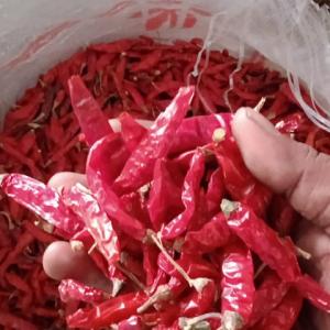 icon Spices & Powders